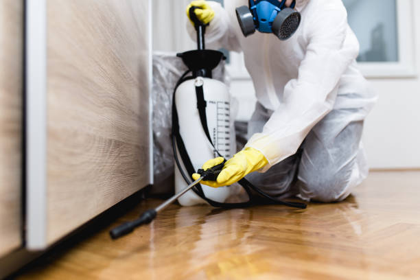 Reliable Strum, WI Pest Control Solutions