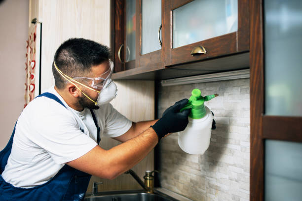 Best Local Pest Control Services  in Strum, WI