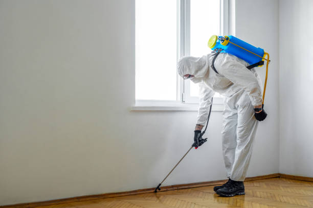 Best Pest Prevention Services  in Strum, WI