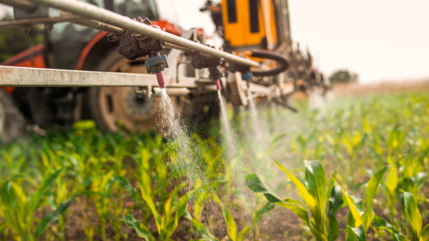 Insect Control in Strum, WI